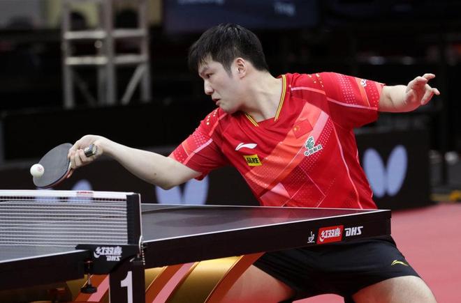 的公正性遭 的公正性遭